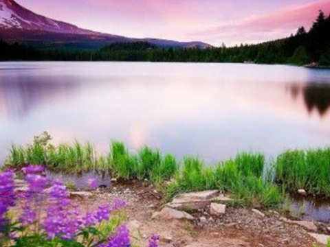 ÜRÜN KATEGORİSİ 1