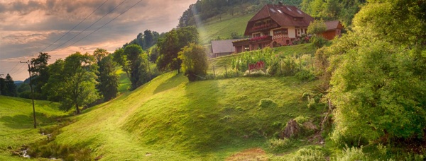 ÜRÜN KATEGORİSİ1 AÇIKLAMA